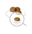 Royal Canin Royal Canin SHN Xsmall Adult 0,5kg