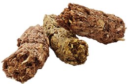 VERSELE-LAGA Versele-Laga Complete Cavia - sucha karma dla świnek morskich - 500 g