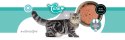 3coty 3Coty CHICKEN + DUCK Care for cats with sensitive kidneys 80g