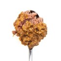 3coty 3Coty CHICKEN + DUCK for Adult cats 80g