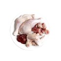 3coty 3Coty CHICKEN for Adult cats 80g