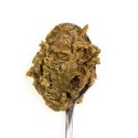 3coty 3Coty CHICKEN with Spirulina for Adult cats 80g