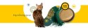 3coty 3Coty CHICKEN with Spirulina for Senior Cats 80g