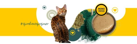 3coty 3Coty CHICKEN with Spirulina for Senior Cats 80g 3coty 3Coty CHICKEN with Spirulina for Senior Cats 80g