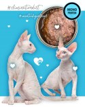 3coty 3Coty DUCK for Adult cats 80g