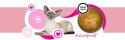 3coty 3Coty TURKEY Cheers! Complementary feed for cats 75g
