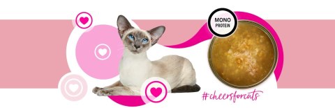 3coty 3Coty TURKEY Cheers! Complementary feed for cats 75g 3coty 3Coty TURKEY Cheers! Complementary feed for cats 75g