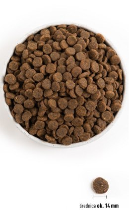 ACANA ACANA Grass-Fed lamb dog 6kg