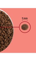 ACANA ACANA Highest Protein Indoor Cat 4,5kg