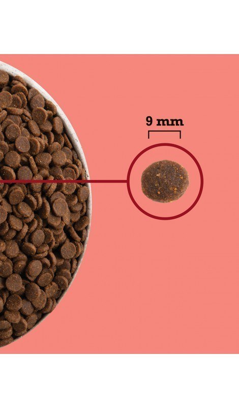 ACANA ACANA Highest Protein Indoor Cat 4,5kg ACANA ACANA Highest Protein Indoor Cat 4,5kg