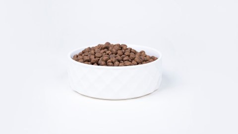 Bult BULT indyk sucha karma dla dorosłych psów 12kg Bult BULT indyk sucha karma dla dorosłych psów 12kg