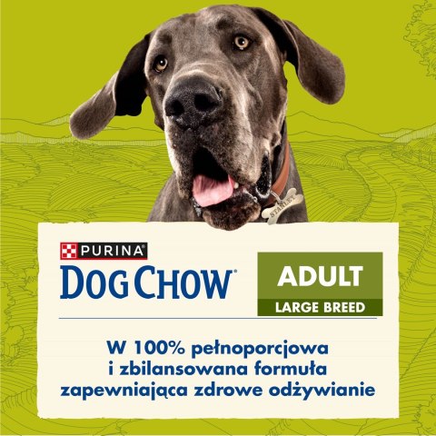 PURINA NESTLE PURINA DOG CHOW Adult Large Breed - sucha karma dla psa - 14kg PURINA NESTLE PURINA DOG CHOW Adult Large Breed - sucha karma dla psa - 14kg