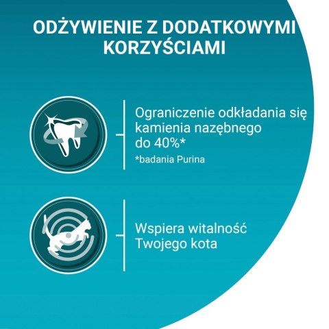 PURINA NESTLE PURINA One Bifensis Adult Bogata w Kurczaka i Pełne Ziarna - sucha karma dla kota - 800 g PURINA NESTLE PURINA One Bifensis Adult Bogata w Kurczaka i Pełne Ziarna - sucha karma dla kota - 800 g