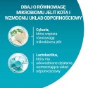 PURINA NESTLE PURINA One Bifensis Adult Bogata w Kurczaka i Pełne Ziarna - sucha karma dla kota - 800 g