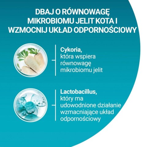 PURINA NESTLE PURINA One Bifensis Adult Bogata w Kurczaka i Pełne Ziarna - sucha karma dla kota - 800 g PURINA NESTLE PURINA One Bifensis Adult Bogata w Kurczaka i Pełne Ziarna - sucha karma dla kota - 800 g