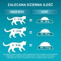 PURINA NESTLE PURINA One Bifensis Adult Bogata w Kurczaka i Pełne Ziarna - sucha karma dla kota - 800 g