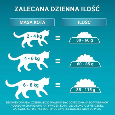 PURINA NESTLE PURINA One Bifensis Adult Bogata w Kurczaka i Pełne Ziarna - sucha karma dla kota - 800 g PURINA NESTLE PURINA One Bifensis Adult Bogata w Kurczaka i Pełne Ziarna - sucha karma dla kota - 800 g
