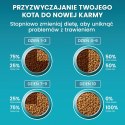 PURINA NESTLE PURINA One Bifensis Adult Bogata w Kurczaka i Pełne Ziarna - sucha karma dla kota - 800 g