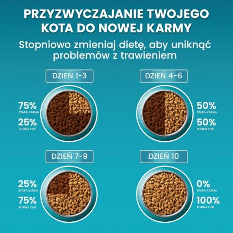 PURINA NESTLE PURINA One Bifensis Adult Bogata w Kurczaka i Pełne Ziarna - sucha karma dla kota - 800 g PURINA NESTLE PURINA One Bifensis Adult Bogata w Kurczaka i Pełne Ziarna - sucha karma dla kota - 800 g