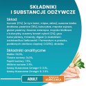 PURINA NESTLE PURINA One Bifensis Adult Bogata w Kurczaka i Pełne Ziarna - sucha karma dla kota - 800 g