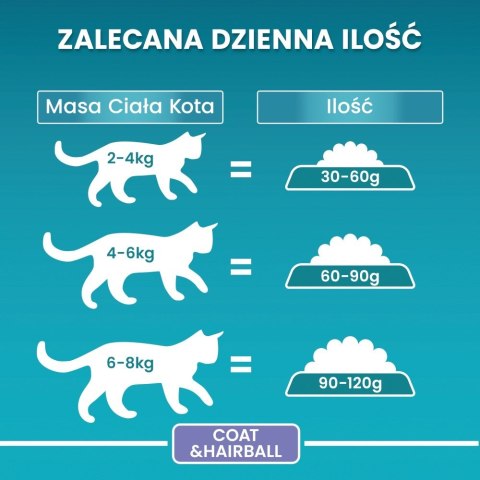 PURINA NESTLE PURINA One Bifensis Coat & Hairball Kurczak - sucha karma dla kota - 800 g PURINA NESTLE PURINA One Bifensis Coat & Hairball Kurczak - sucha karma dla kota - 800 g