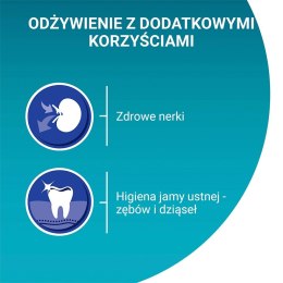 PURINA NESTLE PURINA One Bifensis Senior 7+ Bogata w Kurczaka i Pełne Ziarna - sucha karma dla kota - 800 g