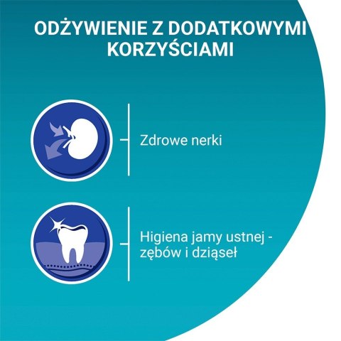 PURINA NESTLE PURINA One Bifensis Senior 7+ Bogata w Kurczaka i Pełne Ziarna - sucha karma dla kota - 800 g PURINA NESTLE PURINA One Bifensis Senior 7+ Bogata w Kurczaka i Pełne Ziarna - sucha karma dla kota - 800 g