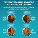 PURINA NESTLE PURINA One Bifensis Senior 7+ Bogata w Kurczaka i Pełne Ziarna - sucha karma dla kota - 800 g