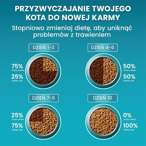 PURINA NESTLE PURINA One Bifensis Senior 7+ Bogata w Kurczaka i Pełne Ziarna - sucha karma dla kota - 800 g PURINA NESTLE PURINA One Bifensis Senior 7+ Bogata w Kurczaka i Pełne Ziarna - sucha karma dla kota - 800 g