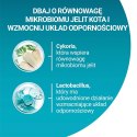 PURINA NESTLE PURINA One Bifensis Senior 7+ Bogata w Kurczaka i Pełne Ziarna - sucha karma dla kota - 800 g