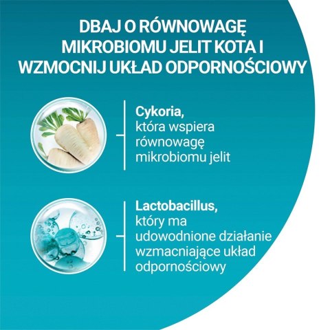 PURINA NESTLE PURINA One Bifensis Senior 7+ Bogata w Kurczaka i Pełne Ziarna - sucha karma dla kota - 800 g PURINA NESTLE PURINA One Bifensis Senior 7+ Bogata w Kurczaka i Pełne Ziarna - sucha karma dla kota - 800 g