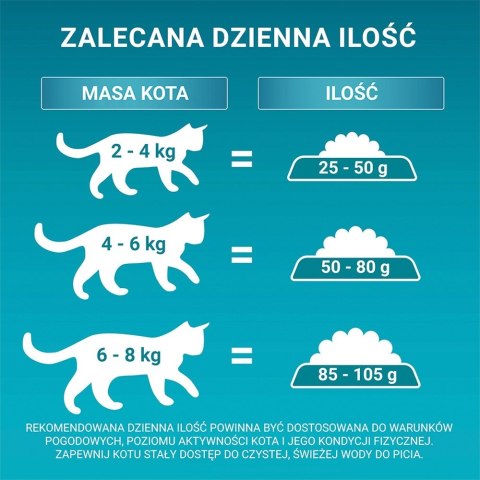 PURINA NESTLE PURINA One Bifensis Senior 7+ Bogata w Kurczaka i Pełne Ziarna - sucha karma dla kota - 800 g PURINA NESTLE PURINA One Bifensis Senior 7+ Bogata w Kurczaka i Pełne Ziarna - sucha karma dla kota - 800 g