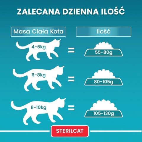 PURINA NESTLE PURINA One Bifensis Sterilcat Wołowina - sucha karma dla kota - 800 g PURINA NESTLE PURINA One Bifensis Sterilcat Wołowina - sucha karma dla kota - 800 g