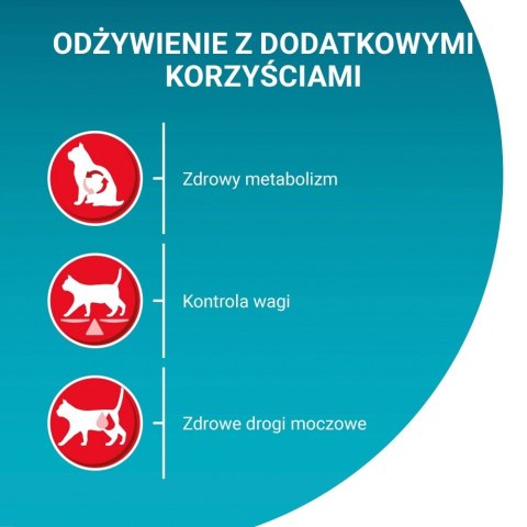 PURINA NESTLE PURINA One Bifensis Sterilcat Wołowina - sucha karma dla kota - 800 g PURINA NESTLE PURINA One Bifensis Sterilcat Wołowina - sucha karma dla kota - 800 g
