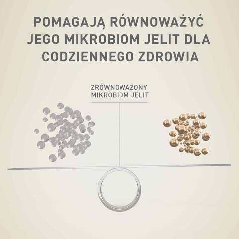 PURINA NESTLE PURINA One Mini Adult Wołowina, ryż - sucha karma dla psa - 800 g PURINA NESTLE PURINA One Mini Adult Wołowina, ryż - sucha karma dla psa - 800 g