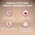 PURINA NESTLE PURINA One Mini Adult Wołowina, ryż - sucha karma dla psa - 800 g
