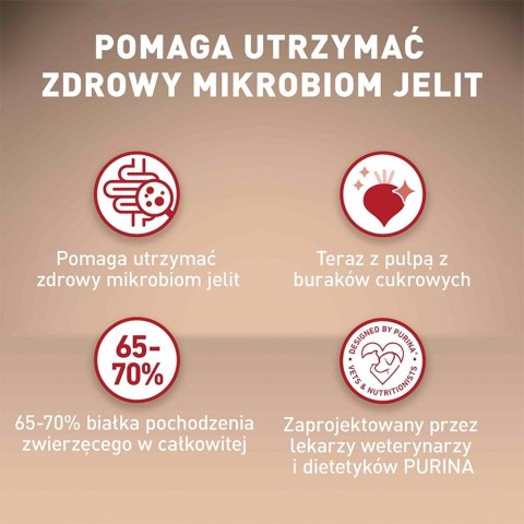 PURINA NESTLE PURINA One Mini/Small Sensitive Łosoś, ryż - sucha karma dla psa - 800 g PURINA NESTLE PURINA One Mini/Small Sensitive Łosoś, ryż - sucha karma dla psa - 800 g