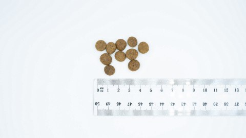 Bult BULT Karma sucha z jagnię. dla psów małych ras 3kg Bult BULT Karma sucha z jagnię. dla psów małych ras 3kg