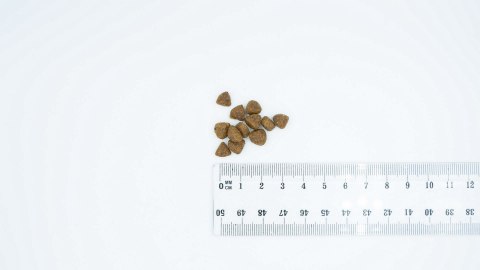 Bult BULT Karma sucha z kaczką i indykiem szczeniąta 3kg Bult BULT Karma sucha z kaczką i indykiem szczeniąta 3kg