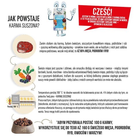 DOLINA NOTECI Dolina Noteci Premium Wołowina sucha karma dla psa 3kg DOLINA NOTECI Dolina Noteci Premium Wołowina sucha karma dla psa 3kg