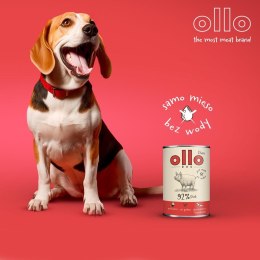 OLLO Ollo Pure Wieprzowina 850g