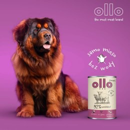 OLLO Ollo Umami Jagniecina i Wołowina 850g