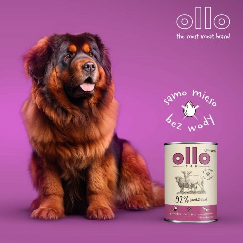 OLLO Ollo Umami Jagniecina i Wołowina 850g OLLO Ollo Umami Jagniecina i Wołowina 850g