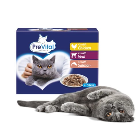 PREVITAL PREVITAL- Z kurczakiem, cielęciną i łososiem w sosie - Pełnoporcjowa karma dla kotów 12x100g PREVITAL PREVITAL- Z kurczakiem, cielęciną i łososiem w sosie - Pełnoporcjowa karma dla kotów 12x100g