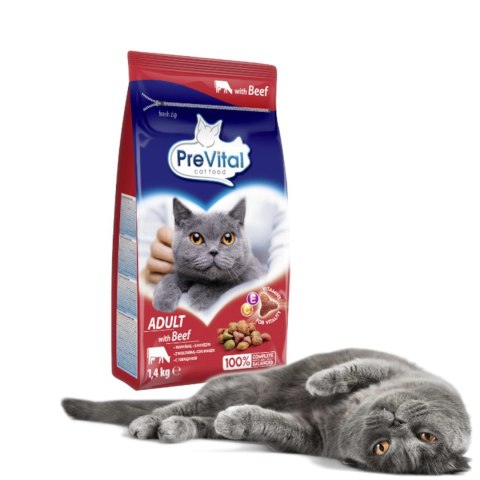 PREVITAL PREVITAL -Z wołowiną karma sucha - Pełnoporcjowa karma dla dorosłych kotów - 1,4kg PREVITAL PREVITAL -Z wołowiną karma sucha - Pełnoporcjowa karma dla dorosłych kotów - 1,4kg