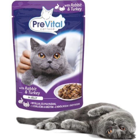 PREVITAL PREVITAL indyk i królik w galaretce dla kotów 100g PREVITAL PREVITAL indyk i królik w galaretce dla kotów 100g