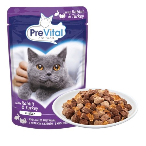 PREVITAL PREVITAL indyk i królik w galaretce dla kotów 100g PREVITAL PREVITAL indyk i królik w galaretce dla kotów 100g