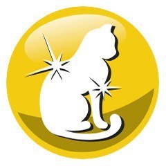 PREVITAL PREVITAL kurczak karma sucha dla kotów 300g PREVITAL PREVITAL kurczak karma sucha dla kotów 300g