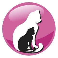 PREVITAL PREVITAL kurczak karma sucha karma kocięta 0,95kg PREVITAL PREVITAL kurczak karma sucha karma kocięta 0,95kg