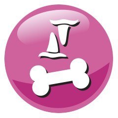 PREVITAL PREVITAL kurczak karma sucha karma kocięta 0,95kg PREVITAL PREVITAL kurczak karma sucha karma kocięta 0,95kg
